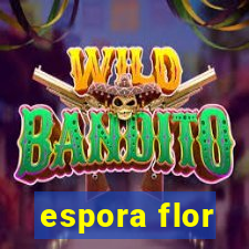 espora flor