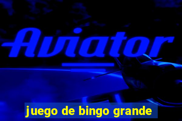 juego de bingo grande