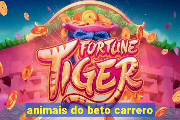 animais do beto carrero