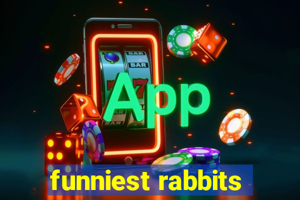 funniest rabbits