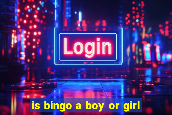 is bingo a boy or girl