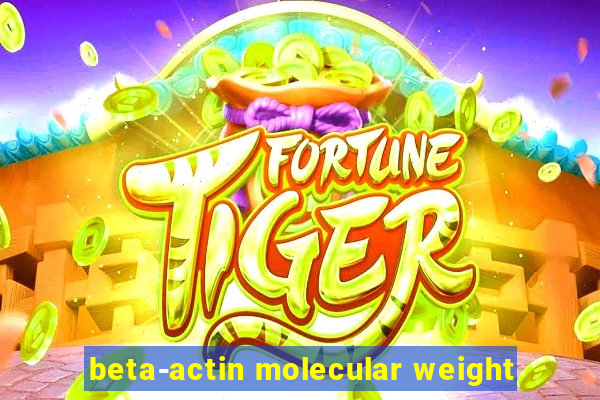 beta-actin molecular weight