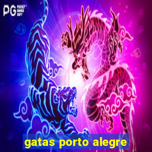 gatas porto alegre