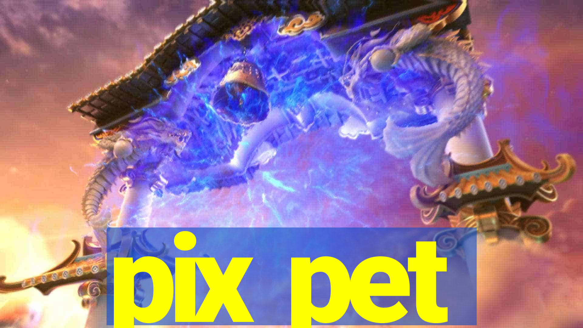 pix pet