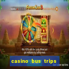 casino bus trips in ct