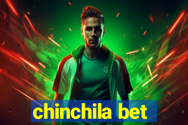 chinchila bet