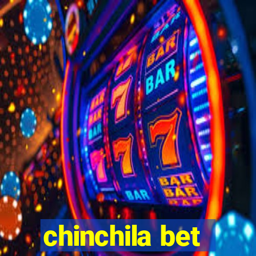 chinchila bet