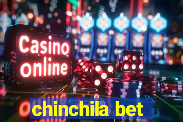 chinchila bet