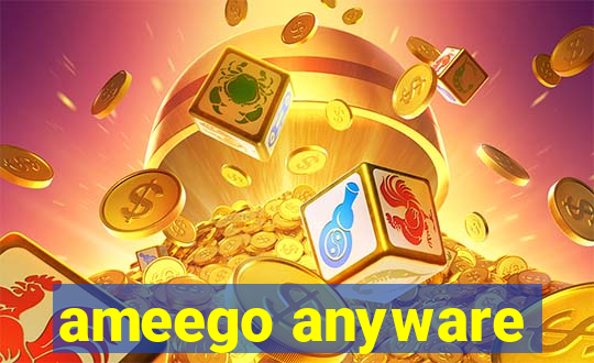 ameego anyware