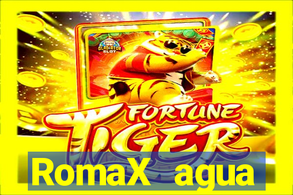 RomaX agua sanitaria fispq agua sanitaria romax