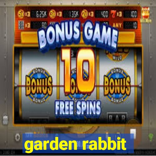 garden rabbit