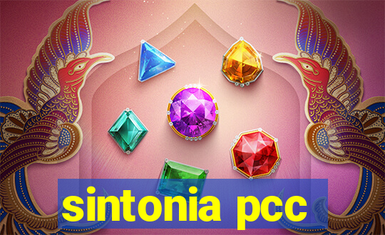 sintonia pcc