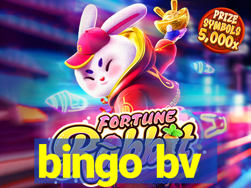 bingo bv