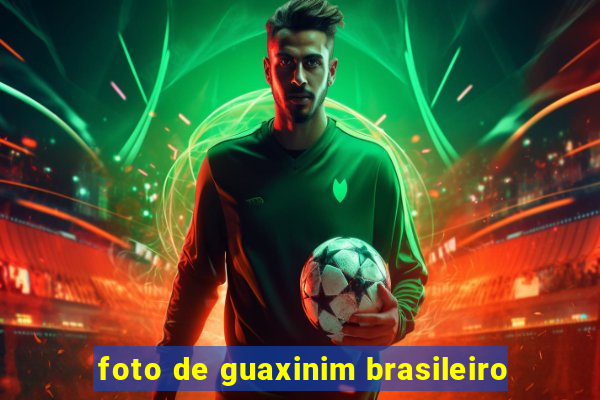 foto de guaxinim brasileiro