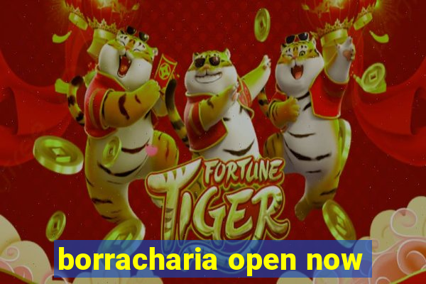 borracharia open now