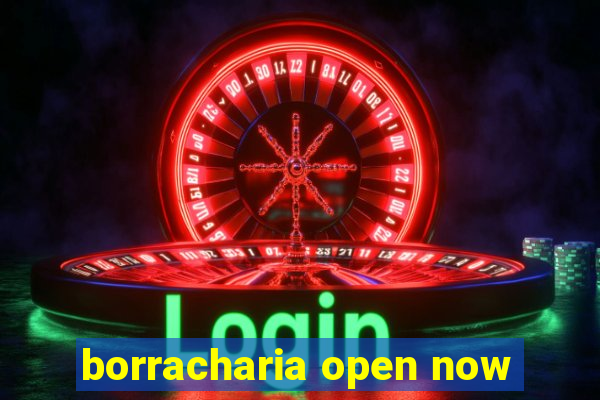 borracharia open now