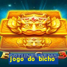 jogo do bicho ganhar dinheiro