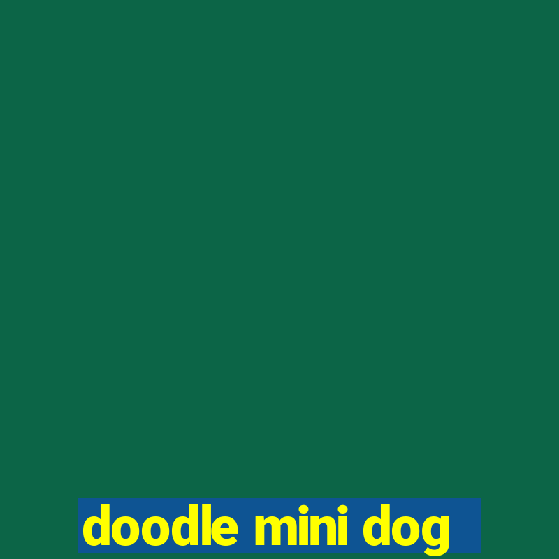 doodle mini dog