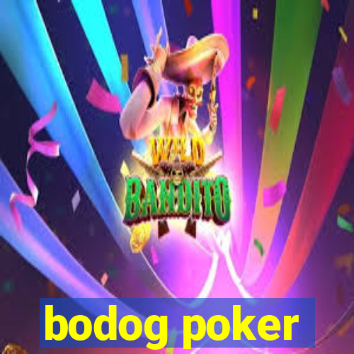 bodog poker