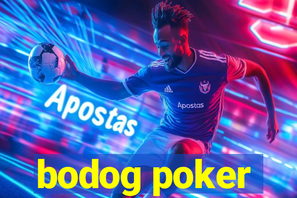 bodog poker