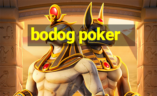 bodog poker