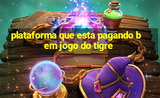 plataforma que esta pagando bem jogo do tigre