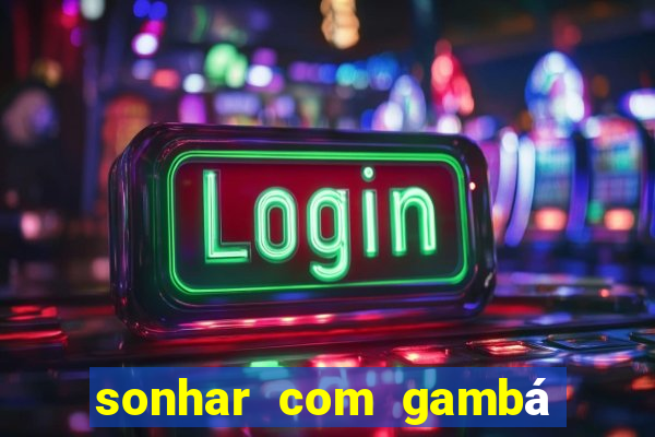 sonhar com gambá jogo do bicho