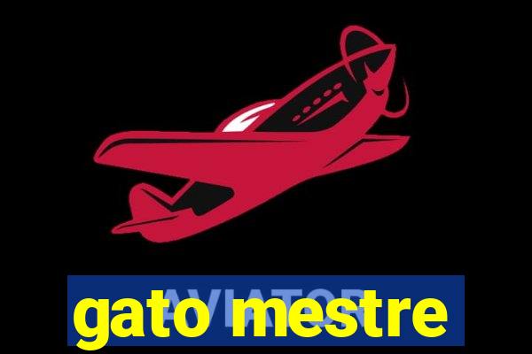 gato mestre