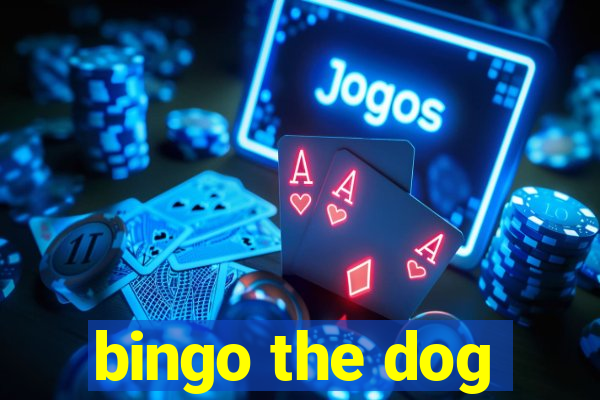 bingo the dog