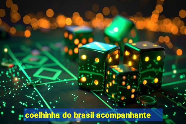 coelhinha do brasil acompanhante