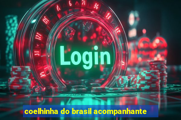 coelhinha do brasil acompanhante