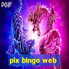 pix bingo web