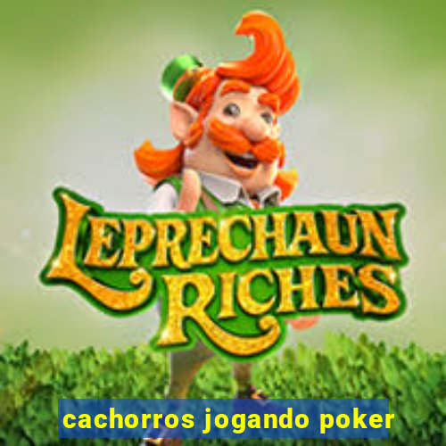 cachorros jogando poker