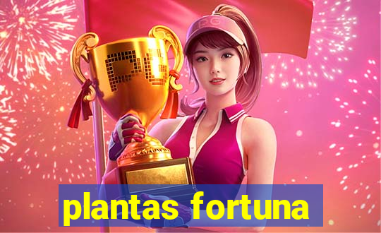 plantas fortuna