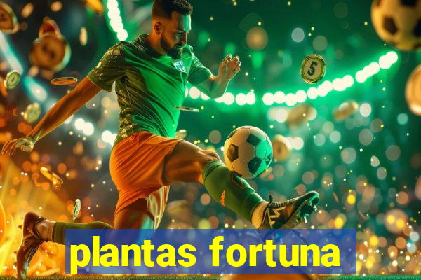 plantas fortuna