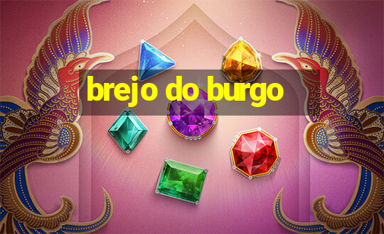 brejo do burgo