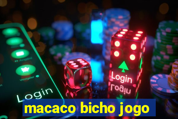 macaco bicho jogo