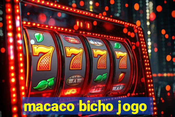 macaco bicho jogo