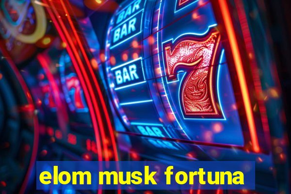 elom musk fortuna