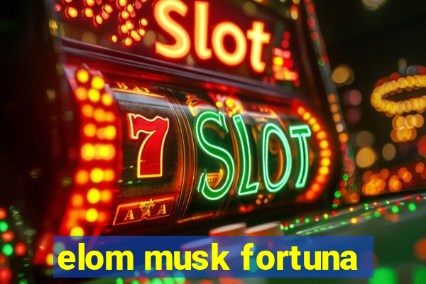 elom musk fortuna