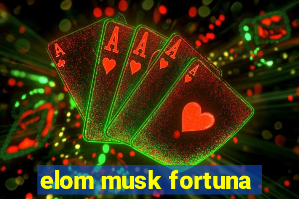 elom musk fortuna