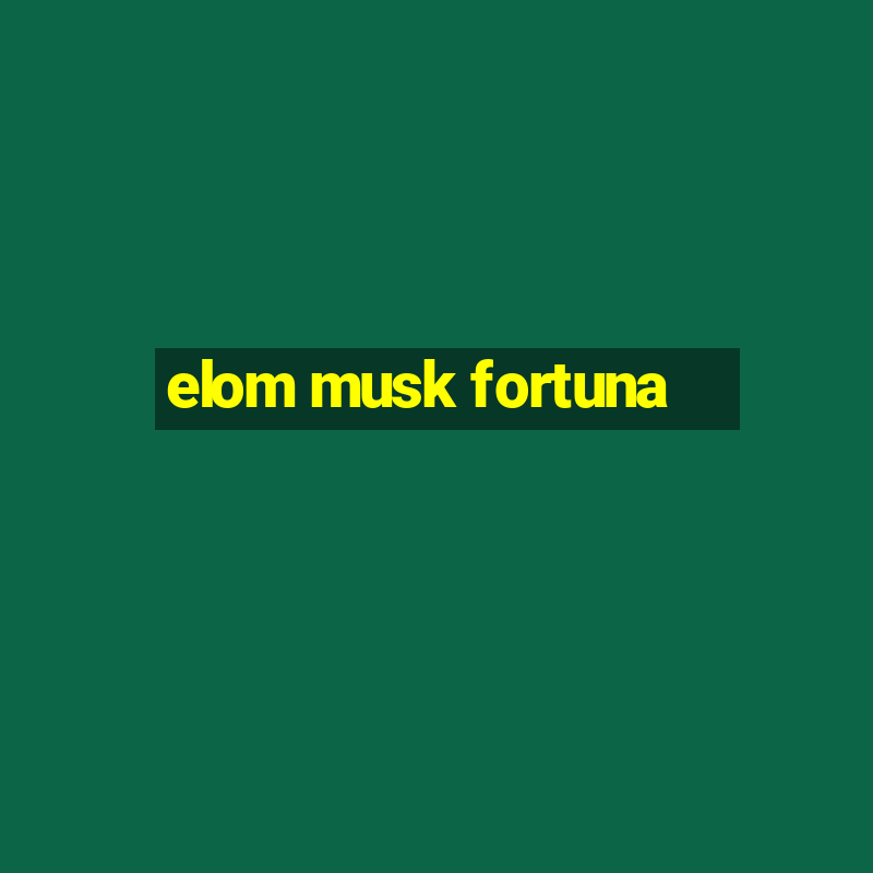 elom musk fortuna