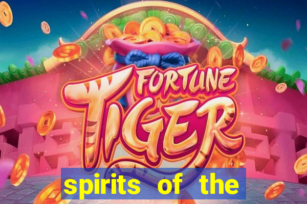 spirits of the storm slot free