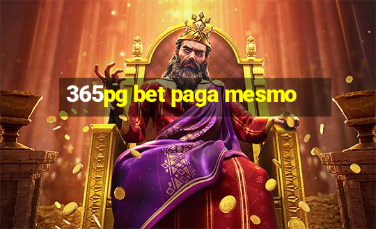 365pg bet paga mesmo