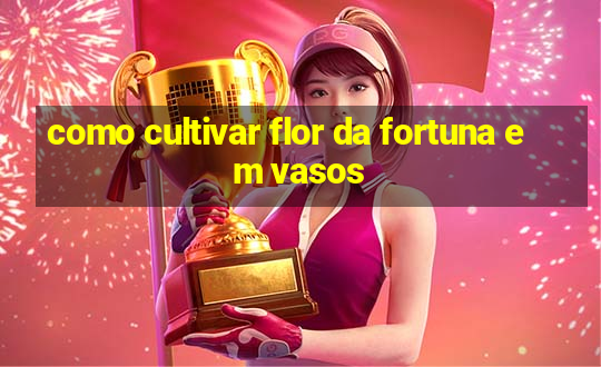 como cultivar flor da fortuna em vasos