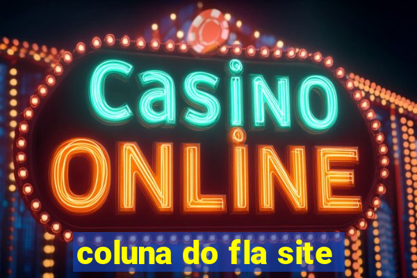 coluna do fla site