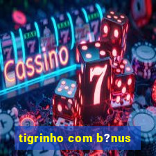 tigrinho com b?nus