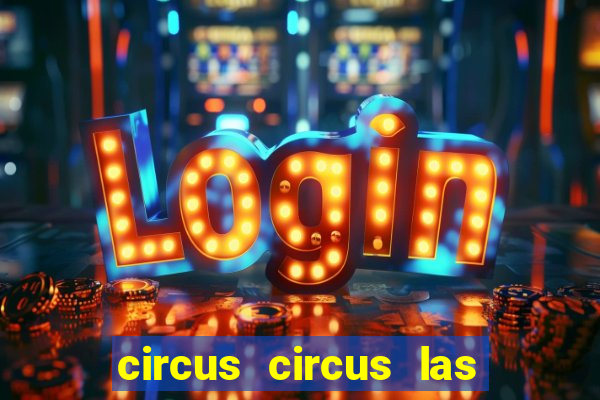 circus circus las vegas hotel and casino