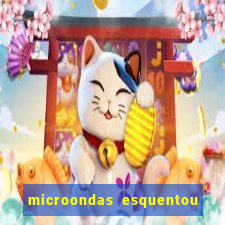 microondas esquentou demais e parou de funcionar