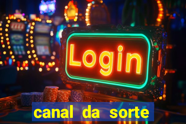 canal da sorte bingo de hoje